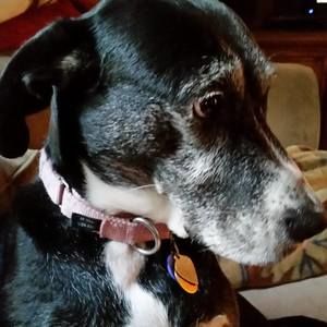 Meet your Posher, Karen